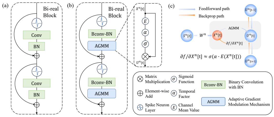 Network architecture and backpropagation of Adaptive Gradient Modulation Mechanism