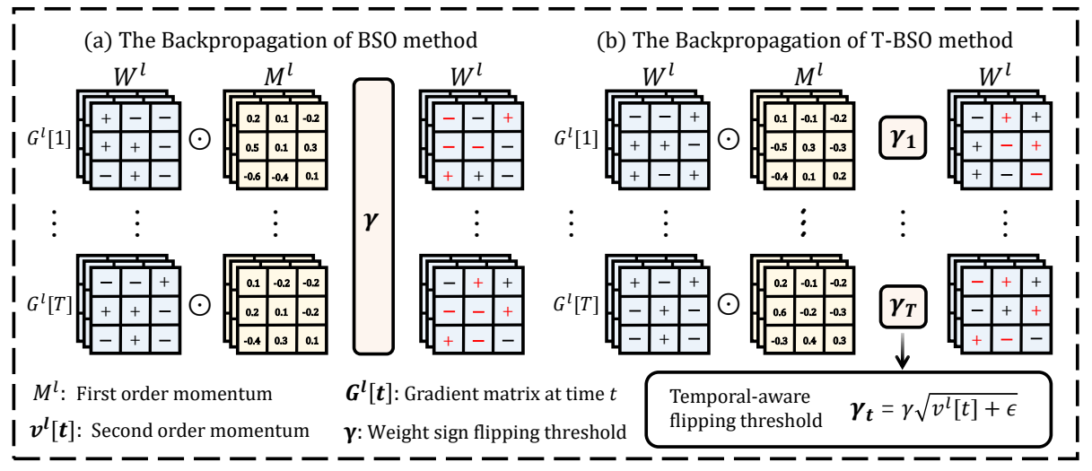 Binary weight update strategies in BSO and temporal-aware T-BSO